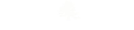 Chassaigne Immobilier